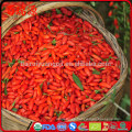 Venta caliente de china Orgánica secado Bayas de Goji